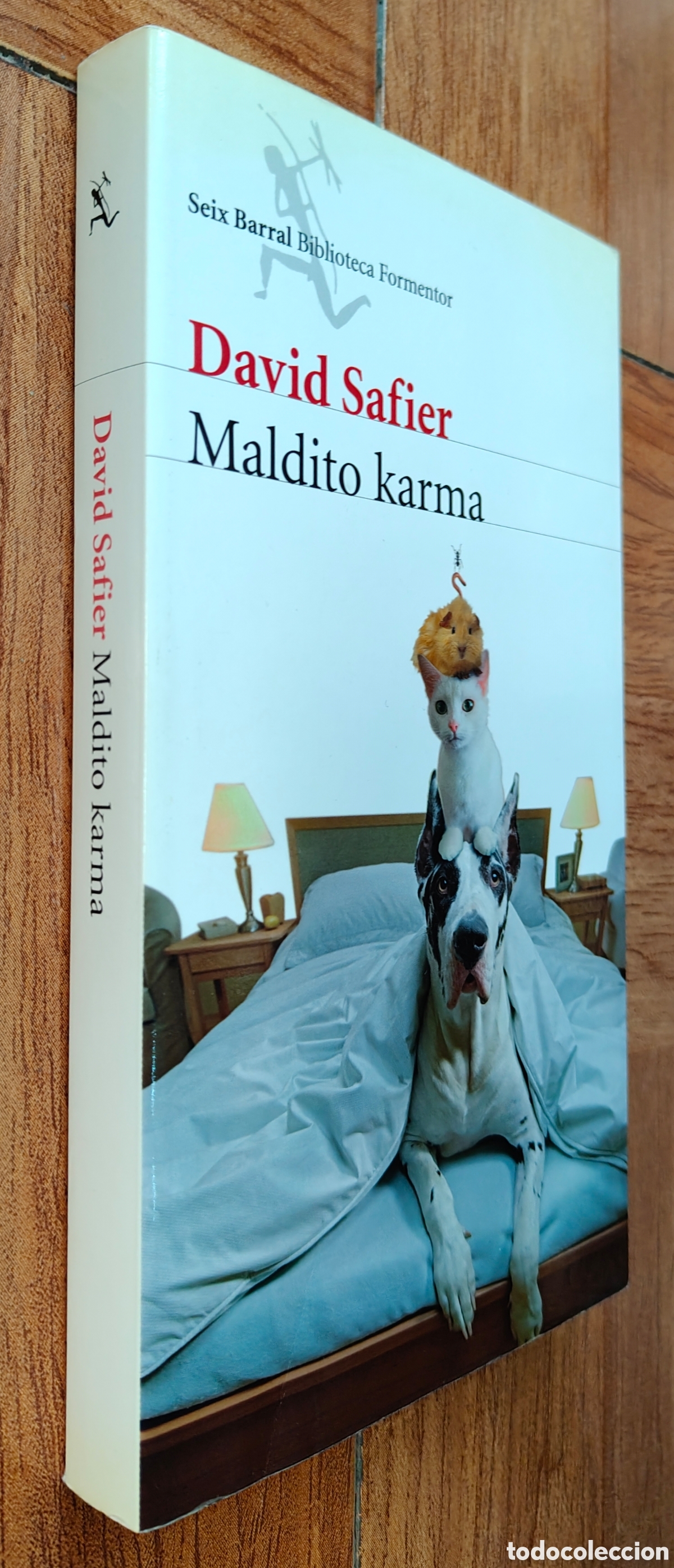 Libros: Maldito Karma � Seix Barral - David Safier - Foto 1