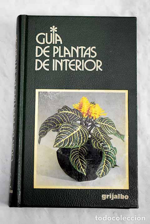 Libros: Gu&iacute;a de plantas de interior.- Chiusoli, Alessandro - Foto 1