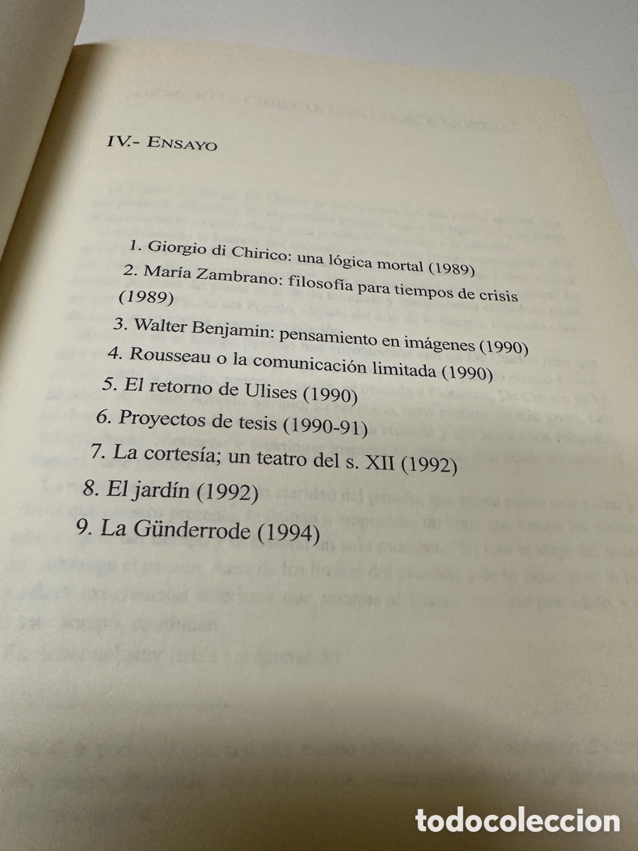Libros: Escritos, Pilar Bayona. Dos tomos. - Foto 3