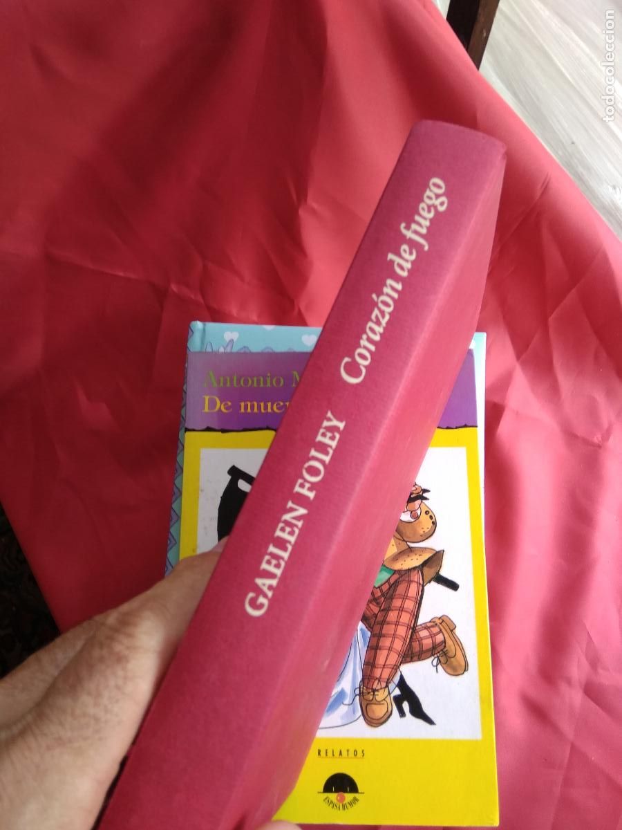 Libros: Coraz&oacute;n de fuego. Gaelen Foley L.19997-403