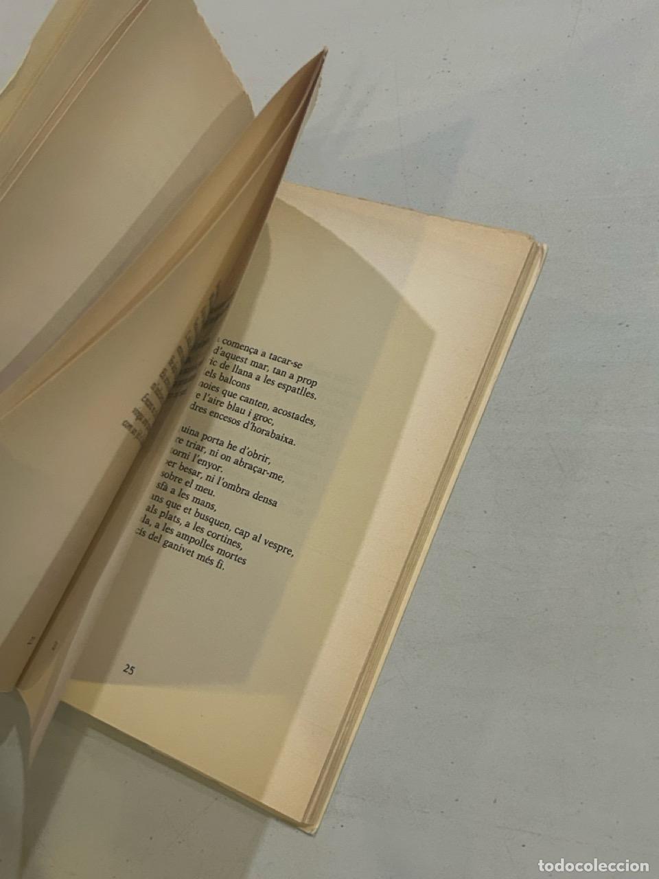 Libros: Olga Xirinacs - La pluja sobre els palaus - Foto 2