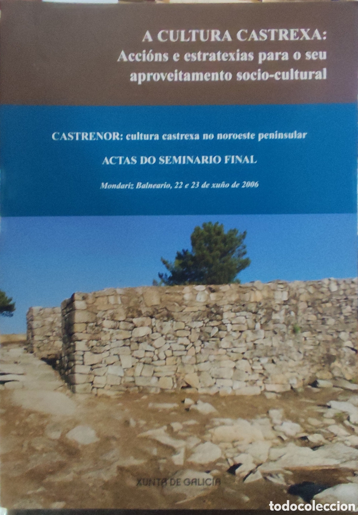 books: A CULTURA CASTREXA. Acci&oacute;ns e estratexias para o seu aproveitamento socio cultural. CASTRENOR. Cultu