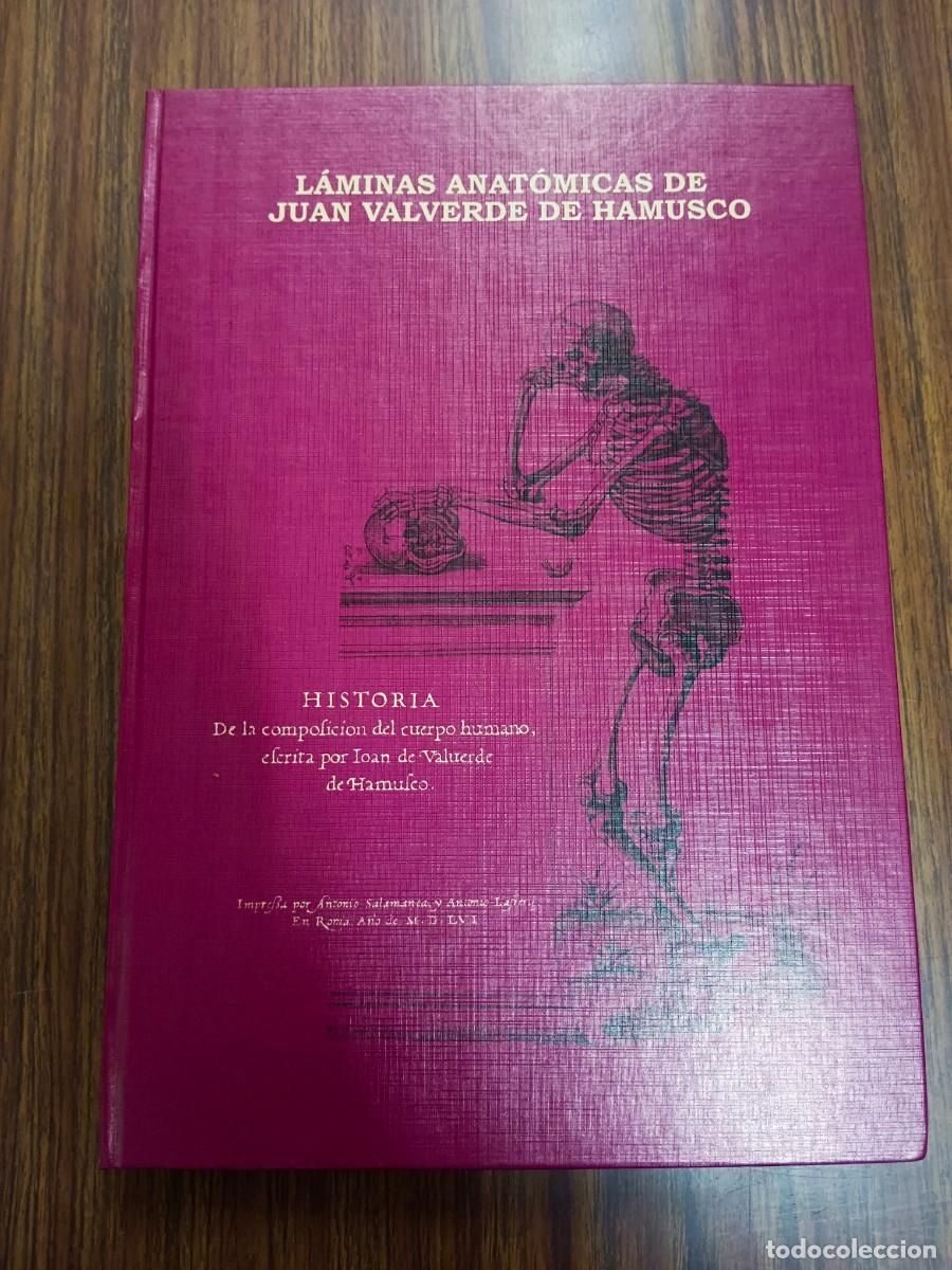 Libros: LAMINAS ANATOMICAS DE JUAN VALVERDE DE HAMUSCO - Juan Valverde de Hamusco - Foto 1