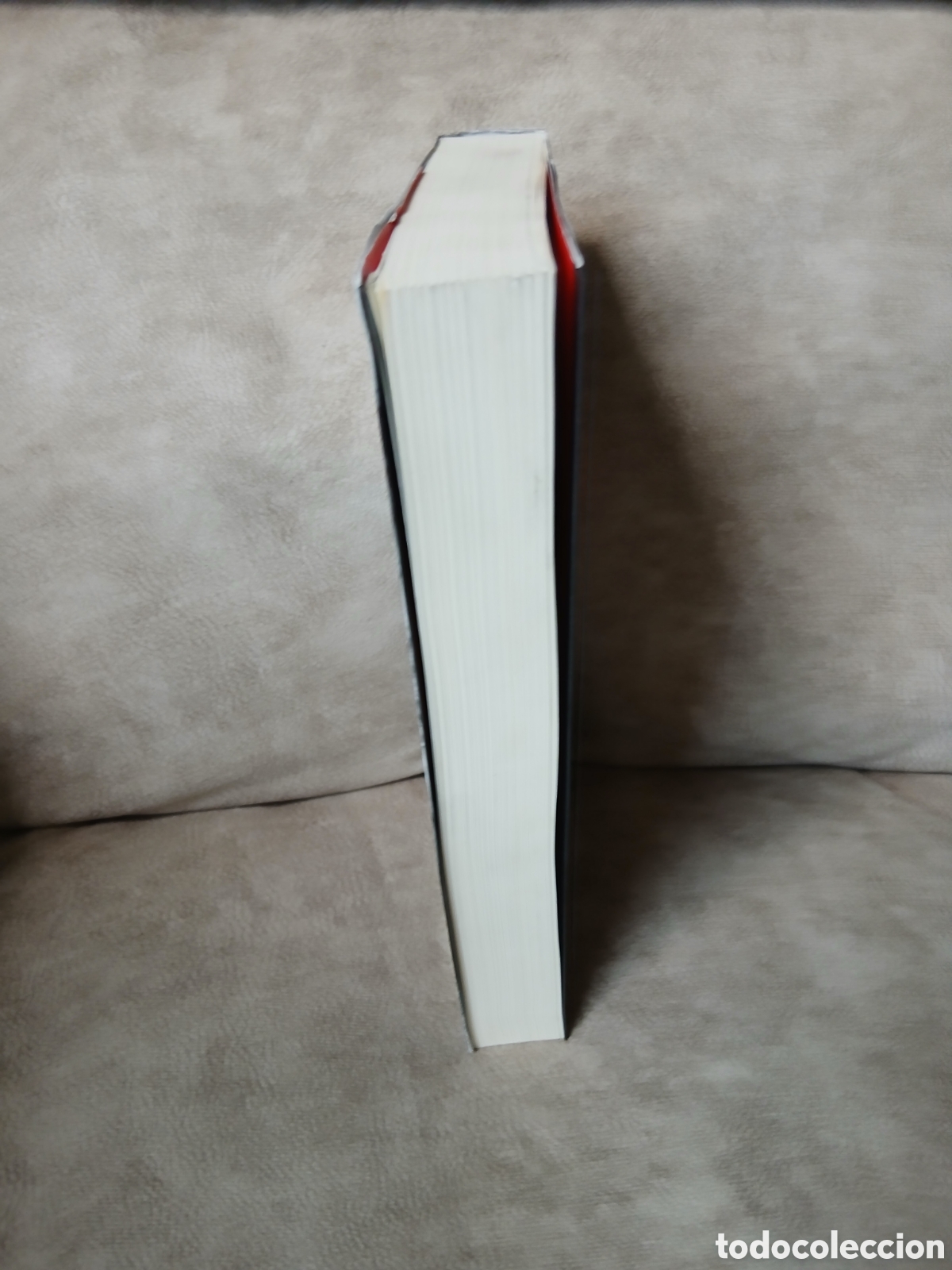 Libros: Libro Leyla -Feridun Zaimoglu- 451 Editores - Foto 4
