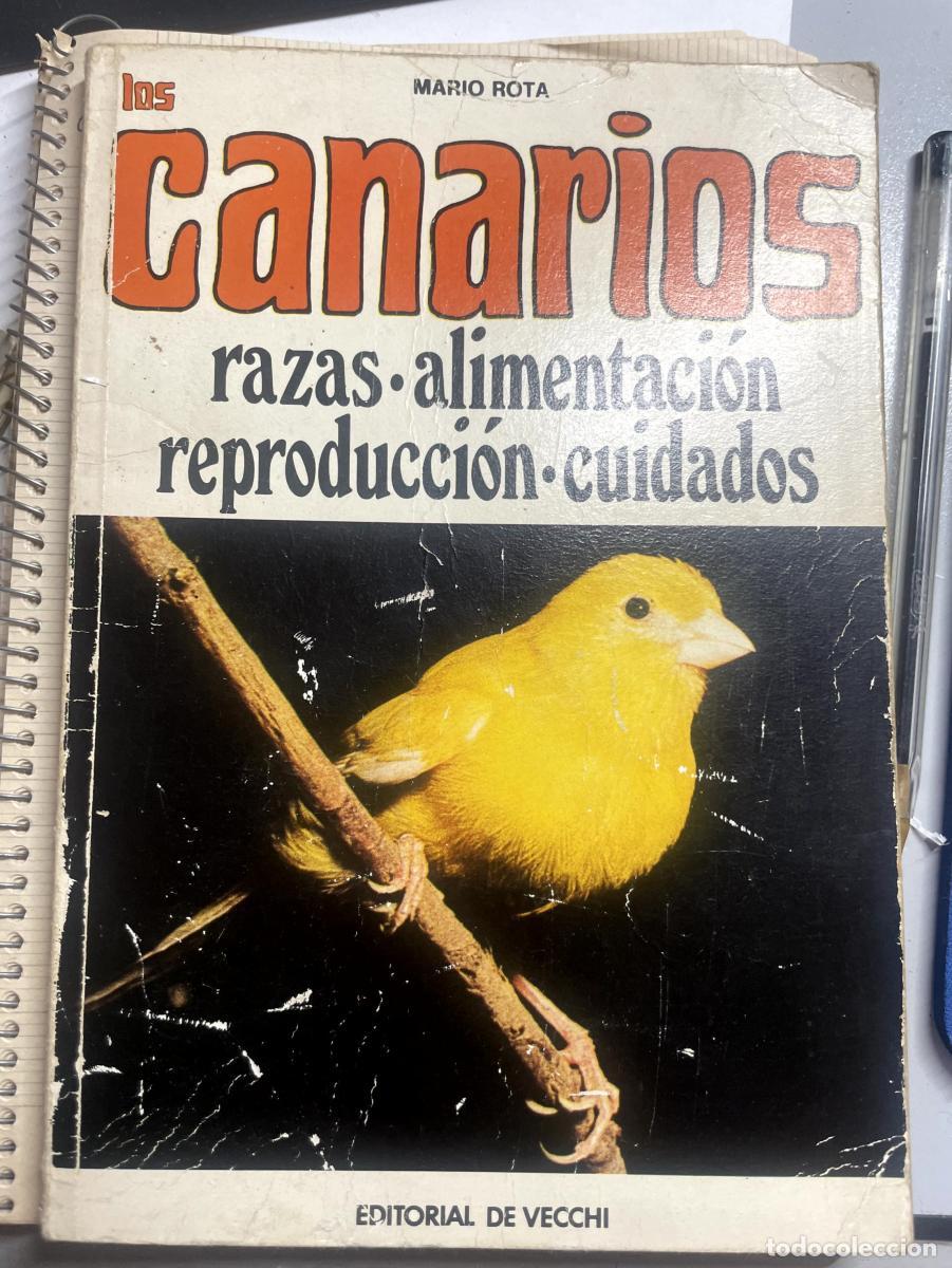 Libros: Los canarios - Mario Rota. TDK15 - Foto 1