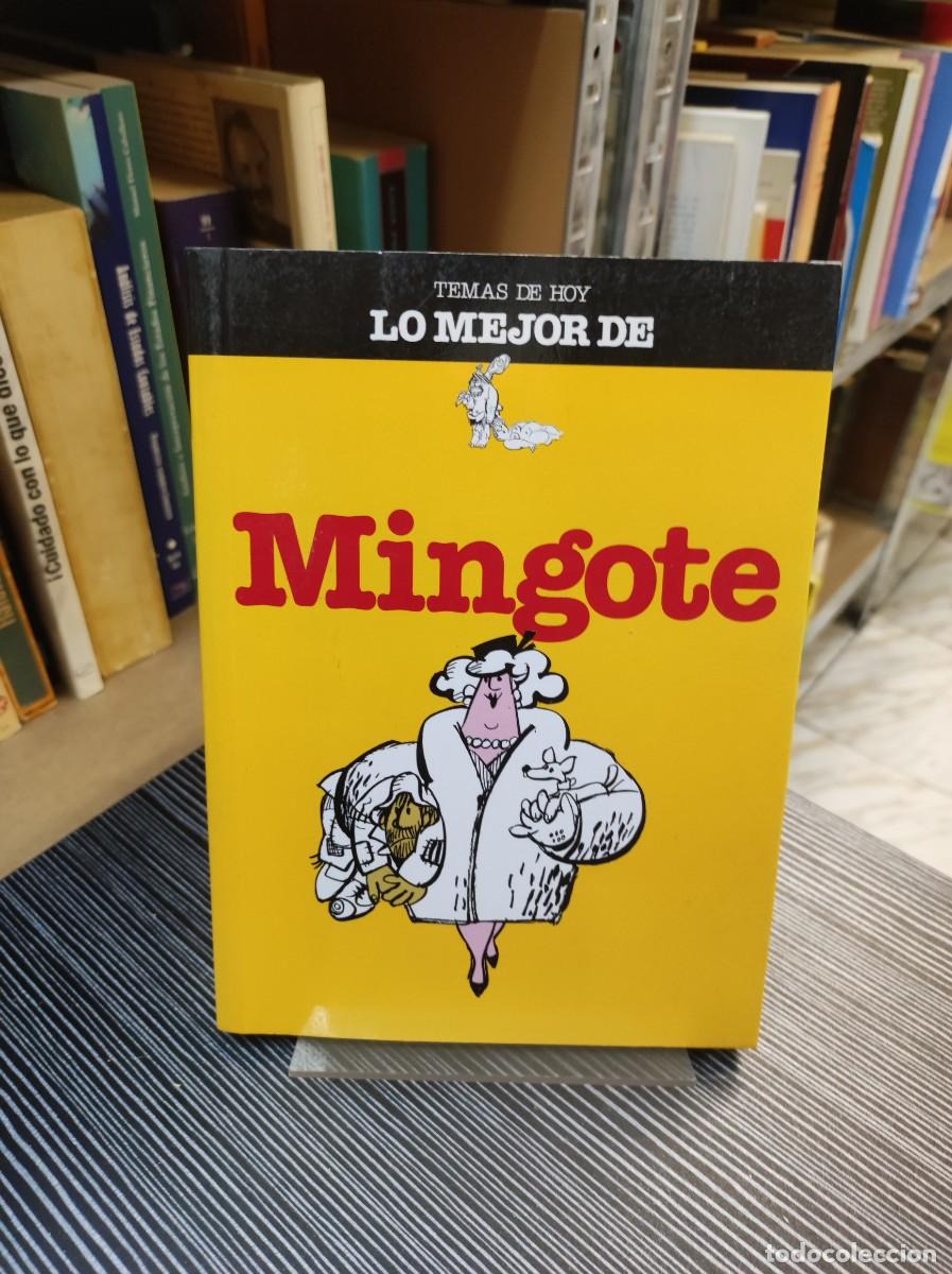 Libros: TEMAS DE HOY LO MEJOR DE MINGOTE - Foto 1