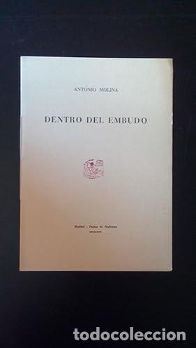 Libros: DENTRO DEL EMBUDO - Molina, Antonio - Foto 1
