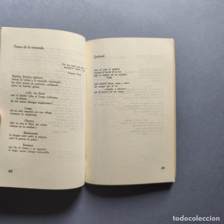 Libros: Los D&iacute;as de tu Vida. - Diego, Eliseo. - Foto 3