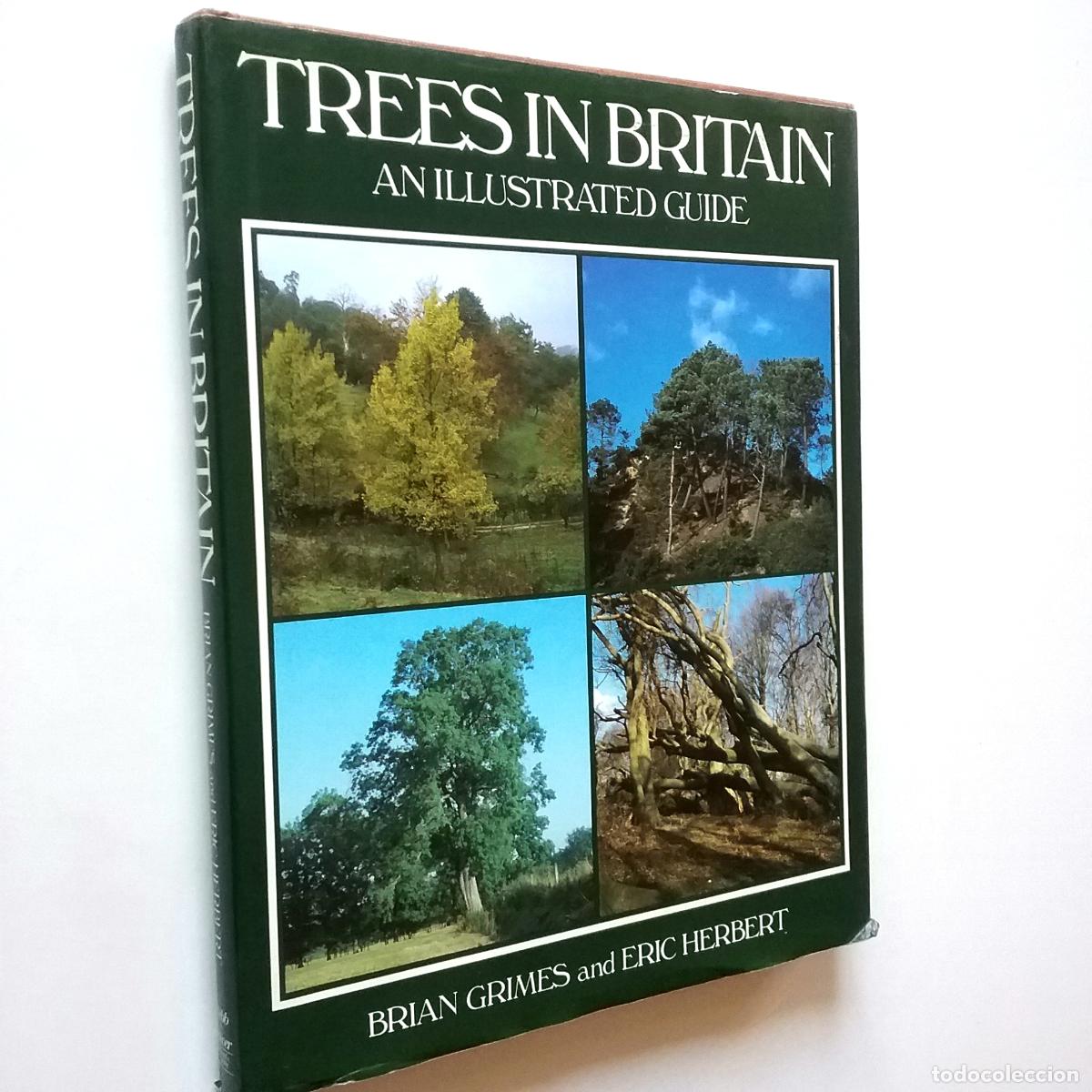 Libros: Brian Grimes and Eric Herbert - Trees in Britain. An Illustrated Guide - Foto 1
