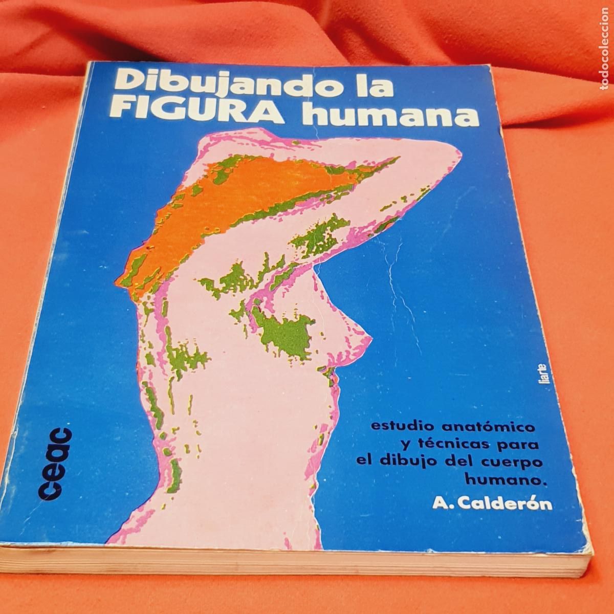 Livres: LIBRO-DIBUJANDO LA FIGURA HUMANA-ALFONSO CALDER&Oacute;N-EDICIONES CEAC-1972-VER FOTOGRAF&Iacute;AS.