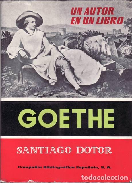 Libros: DOTOR, Santiago.- - Goethe. - Foto 1
