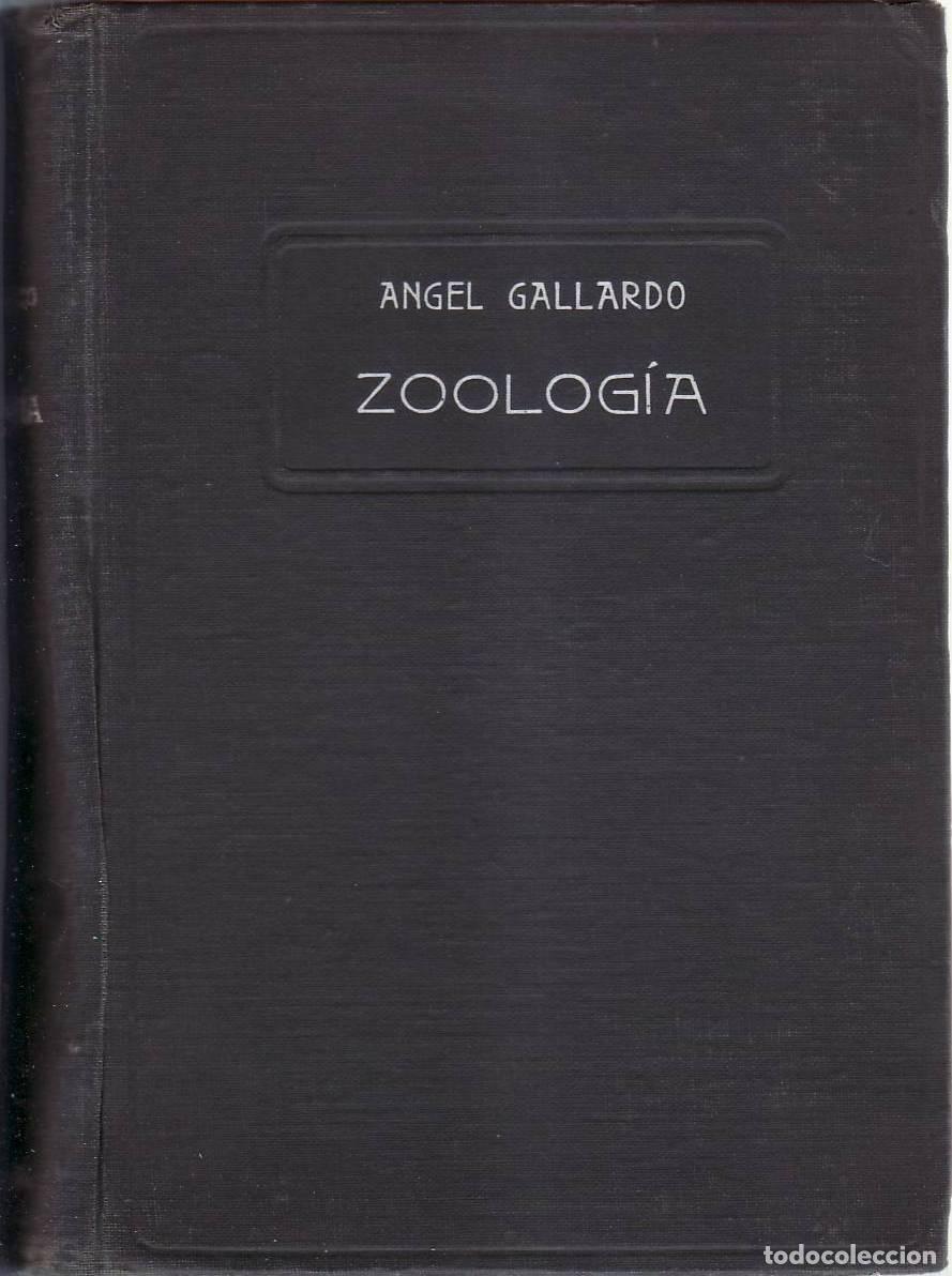 Libros: GALLARDO, &Aacute;ngel.- - Zoolog&iacute;a. - Foto 1