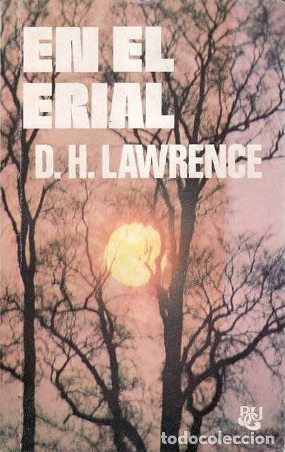 Libros: LAWRENCE, D. H.- - En el erial. Novela. - Foto 1