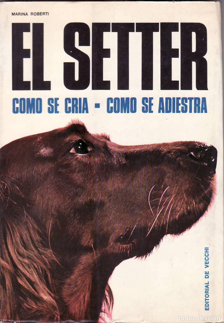 Libros: ROBERTI, Marina.- - El setter. C&oacute;mo se cr&iacute;a, c&oacute;mo se adiestra. - Foto 1