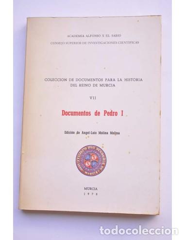Libros: Documentos de Pedro I - PEDRO i (Rey de Espa&ntilde;a) - Foto 1