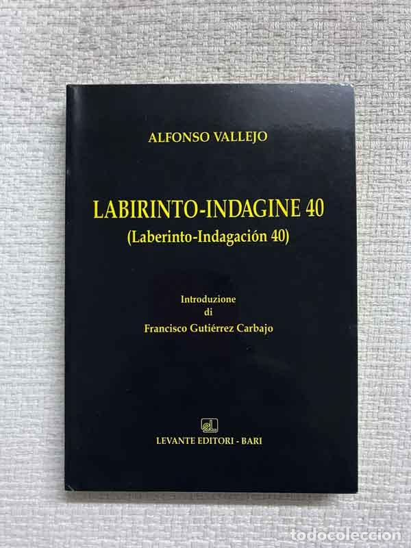 Libros: Labirinto-Indagine 40 (Laberinto-Indagaci&oacute;n 40) - Alfonso Vallejo - Foto 1