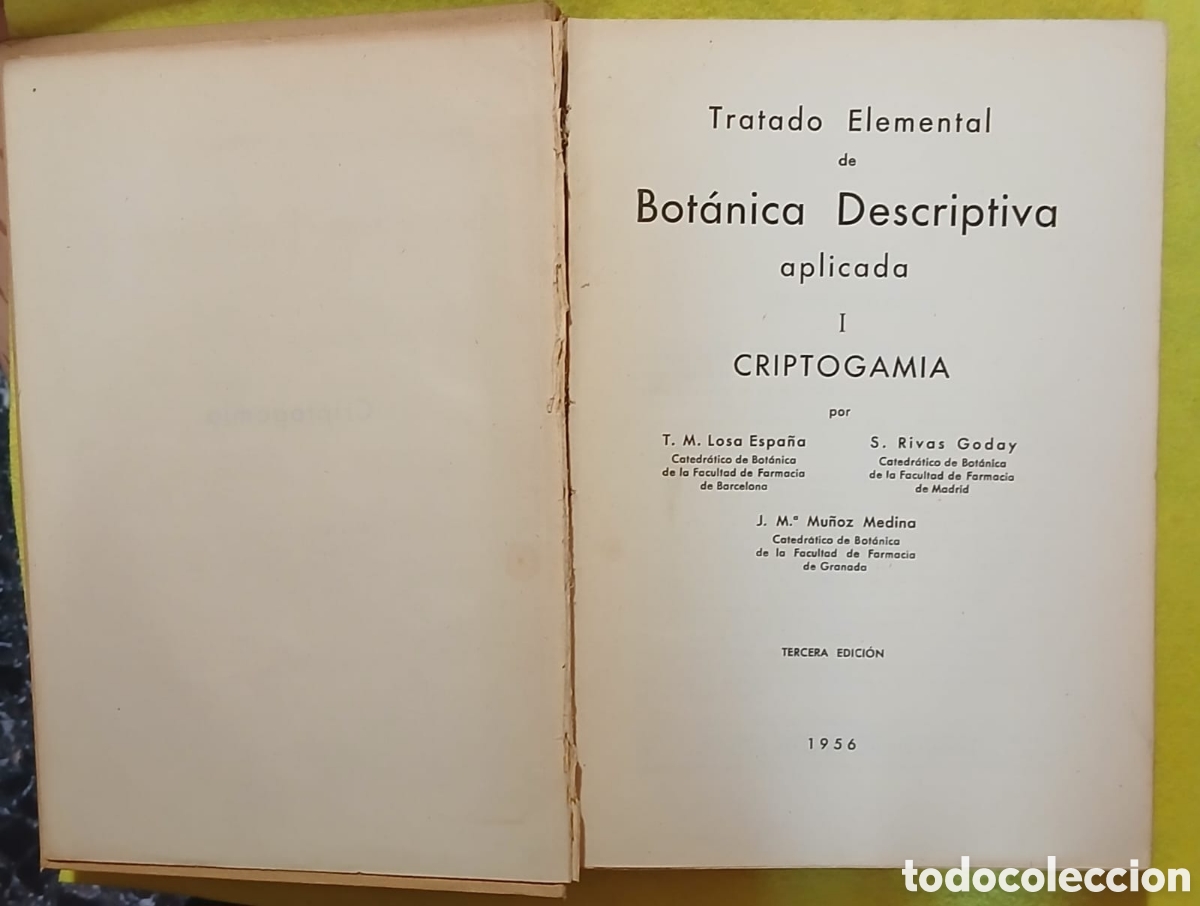 Libros: Botanica descriptiva - Foto 5