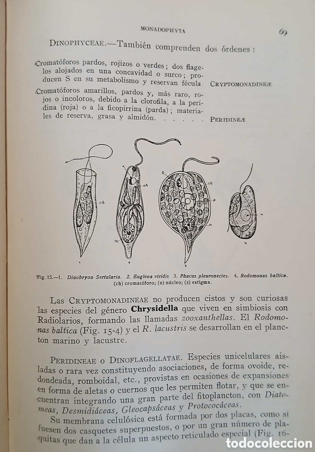 Libros: Botanica descriptiva - Foto 10