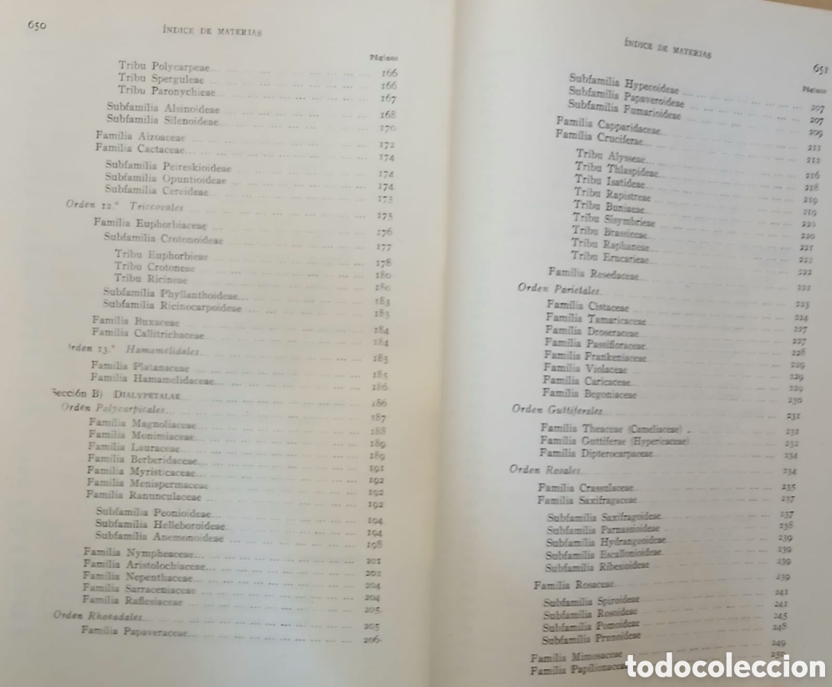 Libros: Botanica descriptiva - Foto 13