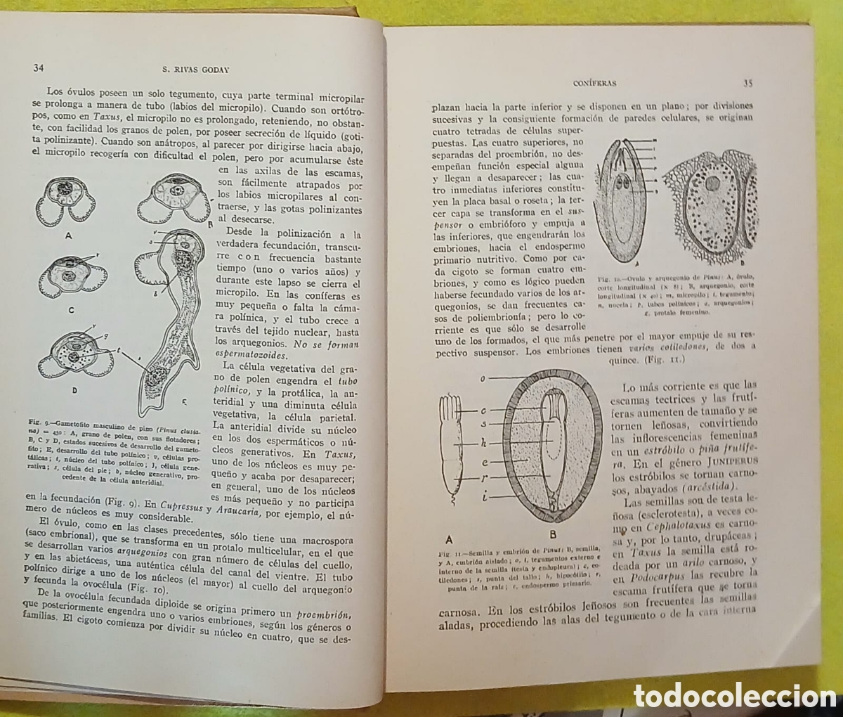 Libros: Botanica descriptiva - Foto 17