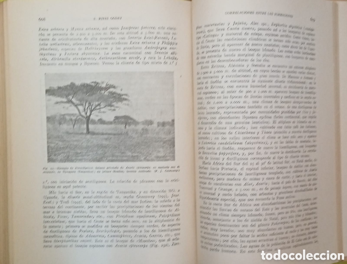Libros: Botanica descriptiva - Foto 19