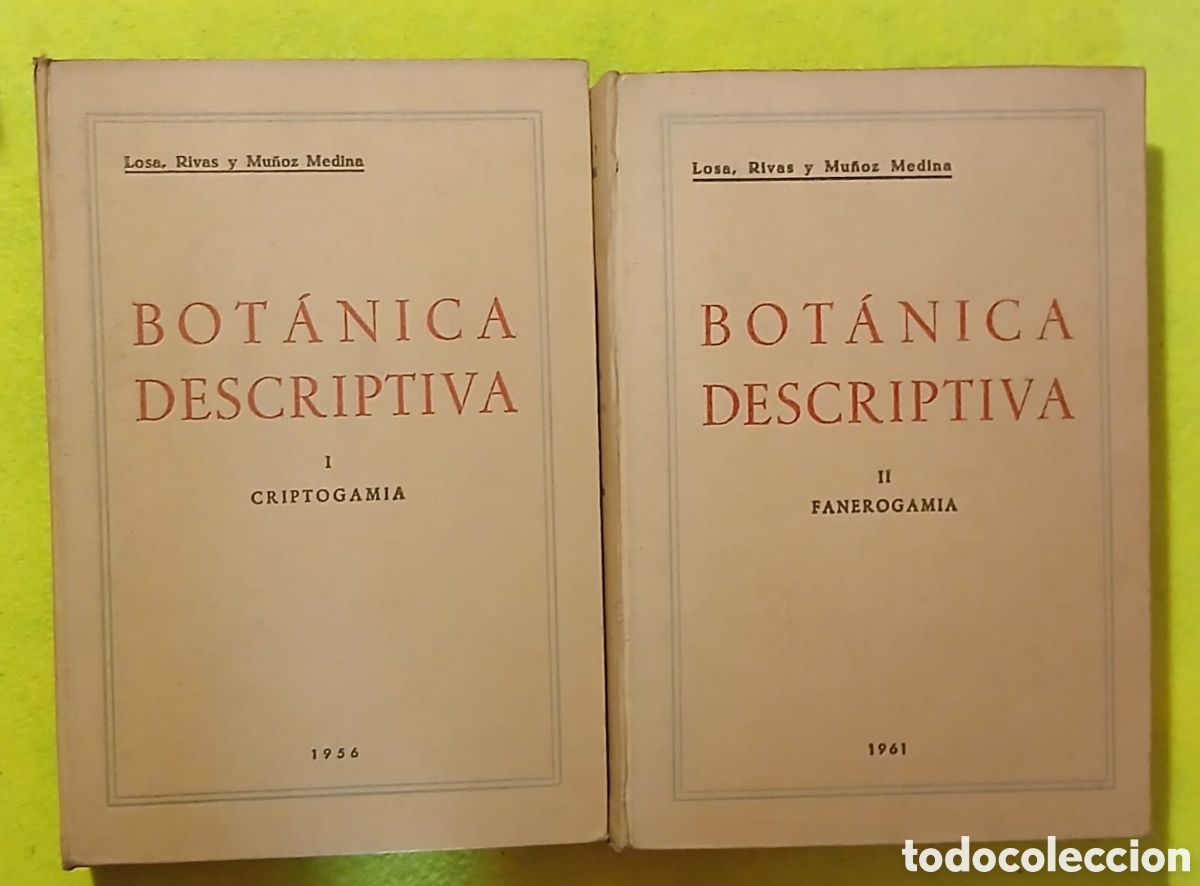 Libros: Botanica descriptiva - Foto 1