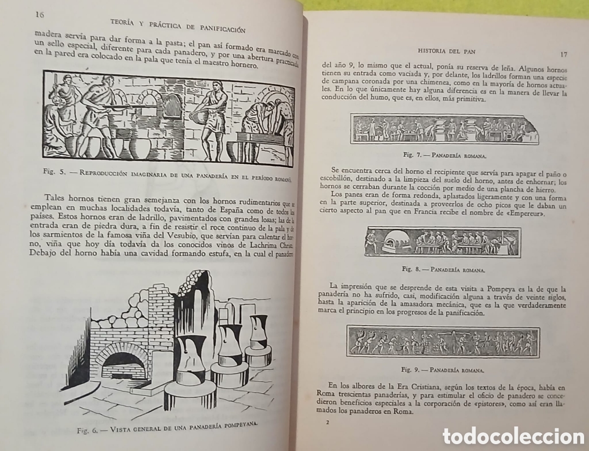 Libros: Teor&iacute;a y pr&aacute;ctica de la panificaci&oacute;n - Foto 7