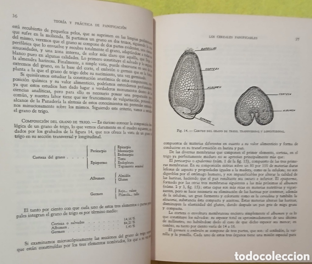 Libros: Teor&iacute;a y pr&aacute;ctica de la panificaci&oacute;n - Foto 13