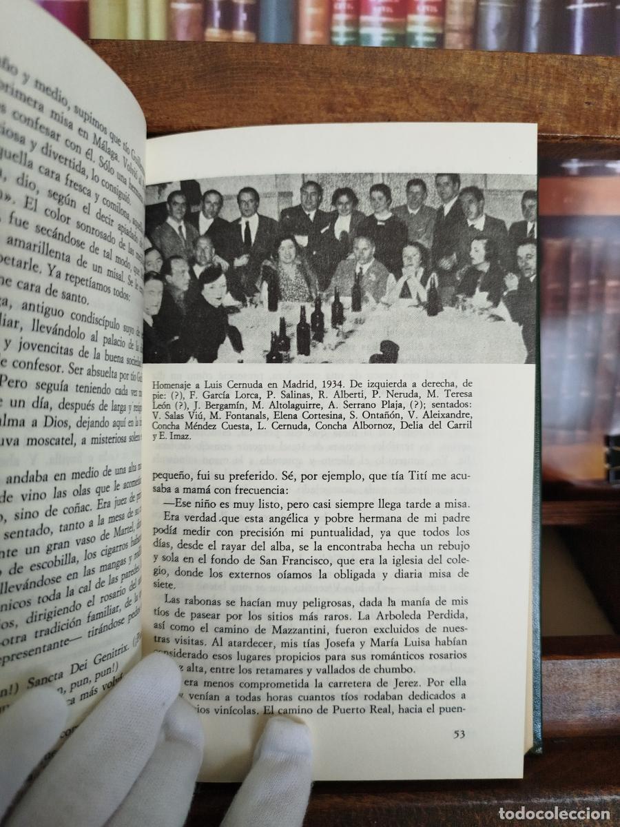 Libros: La arboleda perdida - Alberti, Rafael (1902-1999) - Foto 5