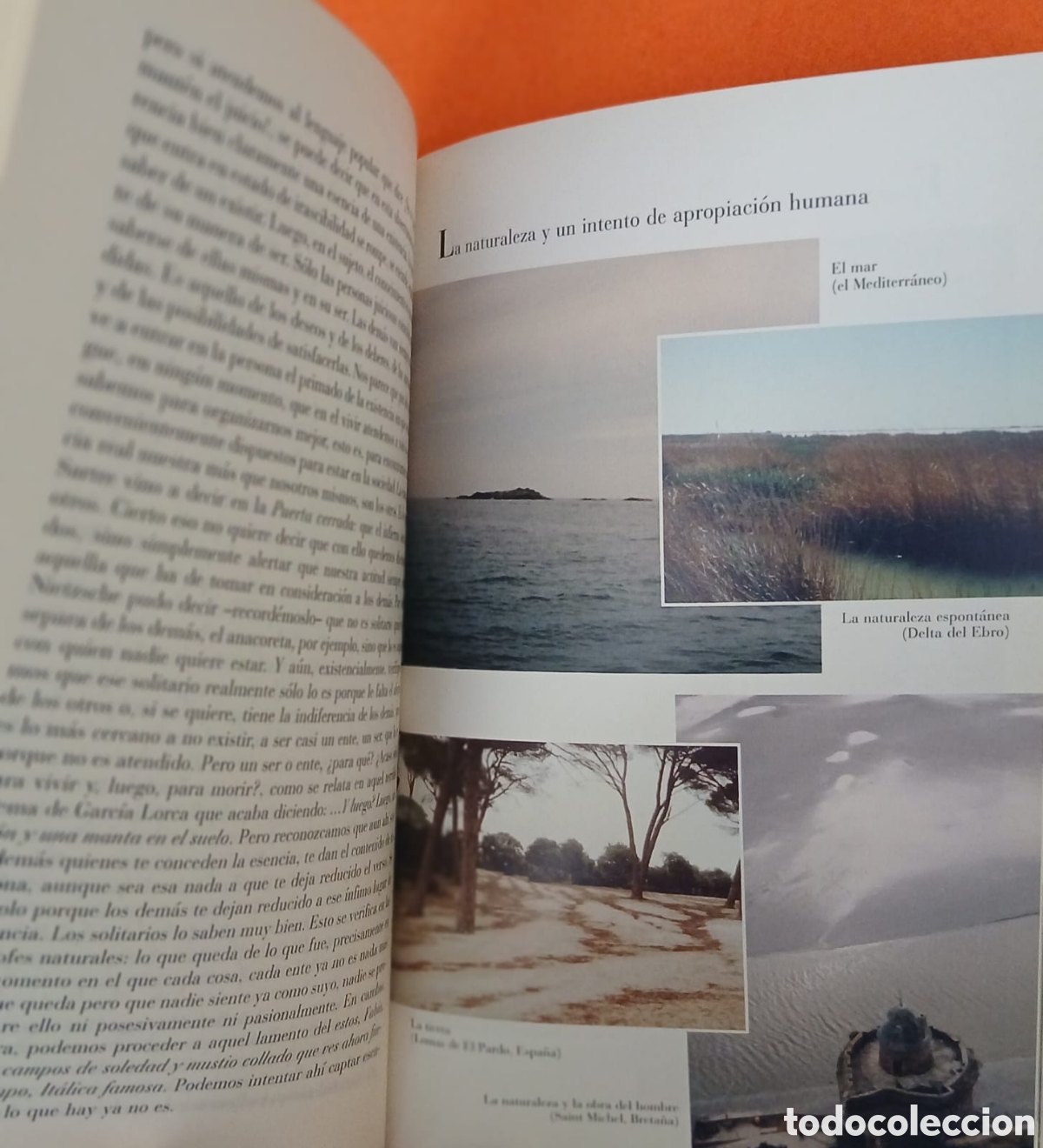 Libros: Dau Al Set, Arnau Puig - Foto 5