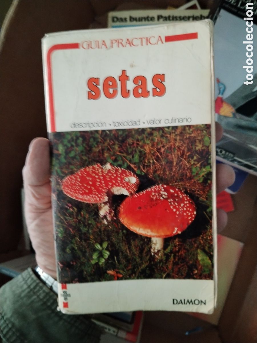Libros: &rdquo;Gu&iacute;a pr&aacute;ctica setas&rdquo; de Umberto Nonis, publicado por Daimon - Foto 1