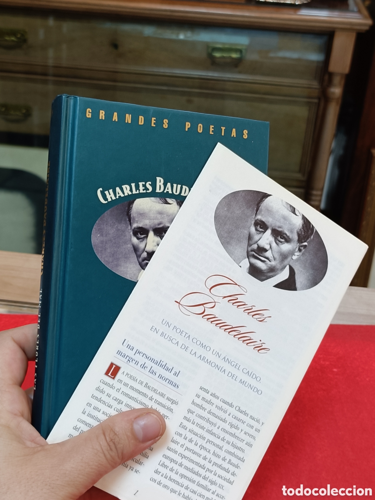 Libros: Flores del Mal&rdquo; de Charles Baudelaire.&nbsp; - Foto 9