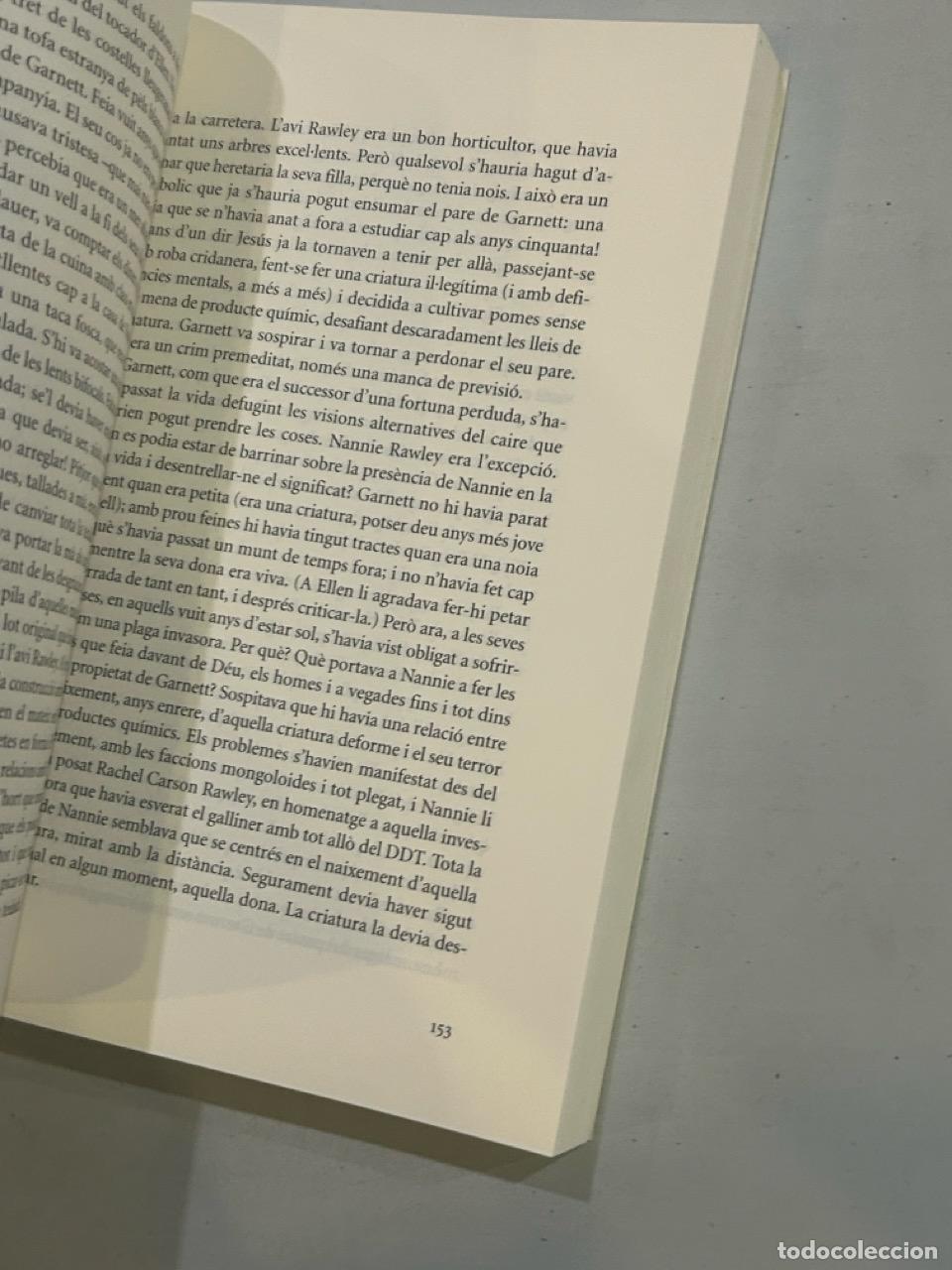 Libros: Barbara Kingsolver - Estiu pr&ograve;dig - Foto 2
