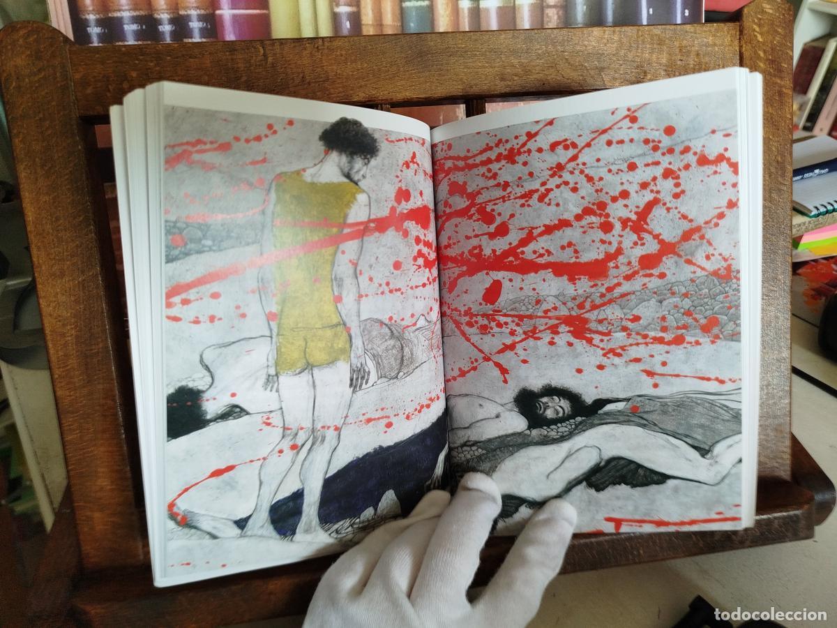 Libros: Edipo Rey, Ant&iacute;gona. - S&oacute;focles - Foto 6