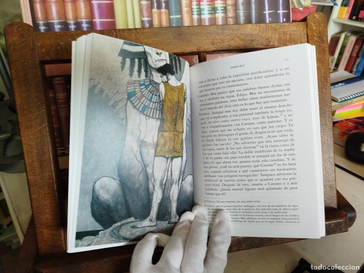 Libros: Edipo Rey, Ant&iacute;gona. - S&oacute;focles - Foto 7