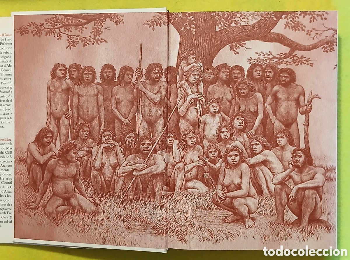 Libros: Atapuerca, perduts al tur&oacute; - Foto 4