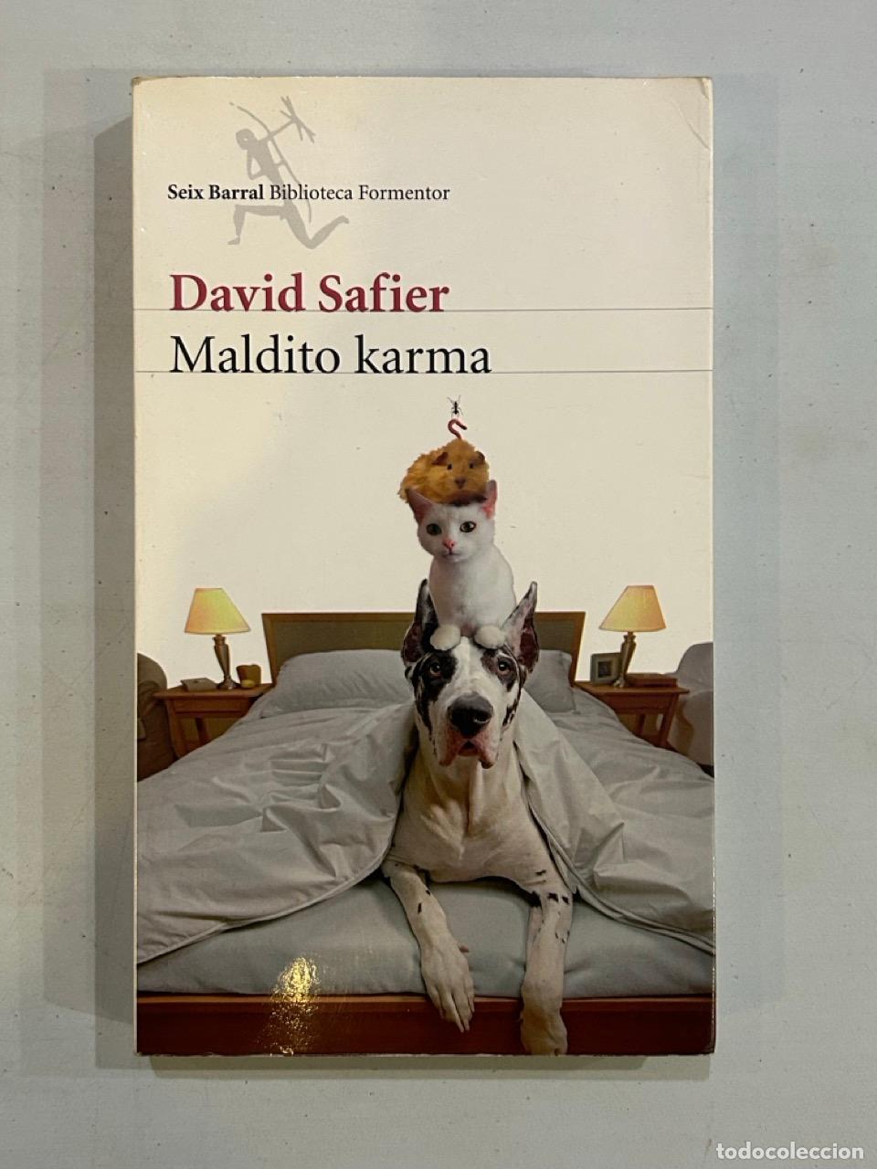 Libros: David Safier - Maldito karma - Foto 1