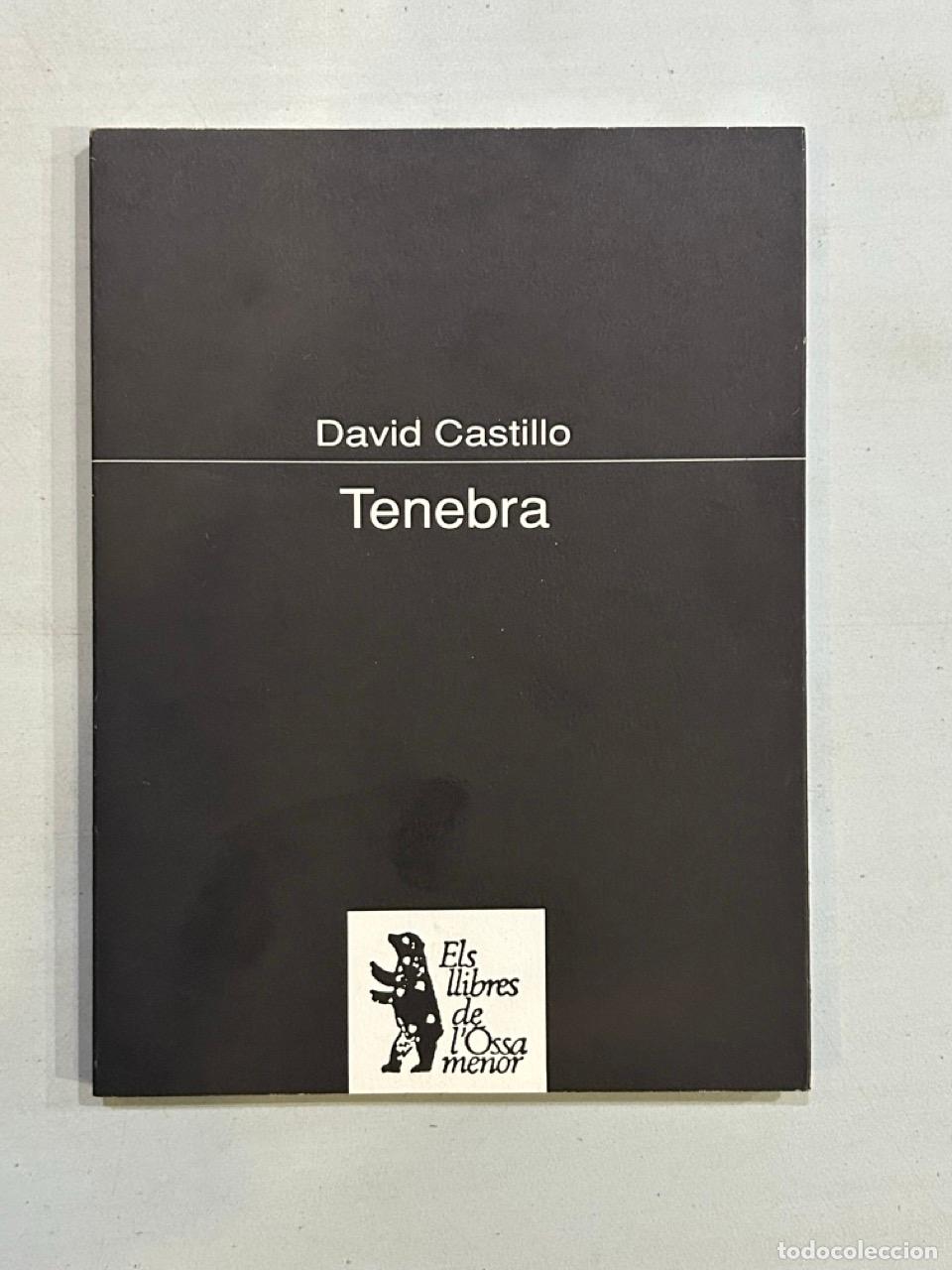 Libros: David Castillo - Tenebra - Foto 1