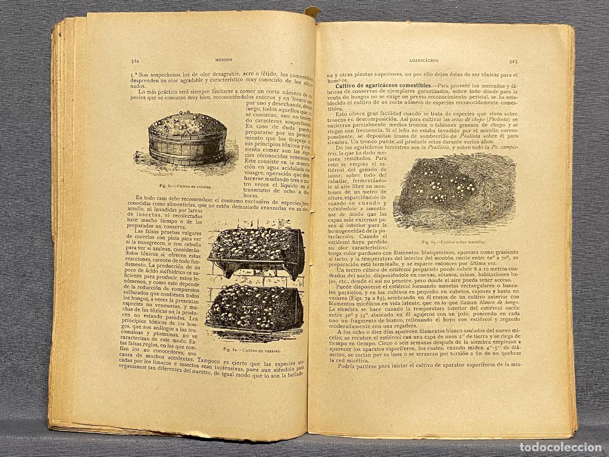 Libros: COMPENDIO DE LA FLORA ESPA&Ntilde;OLA - TOMO I. - L&Aacute;ZARO E IBIZA, BLAS. - Foto 2