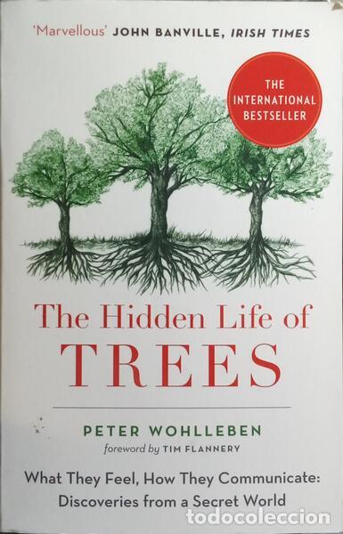Libros: HIDDEN (THE) LIFE OF TREES. - Foto 1