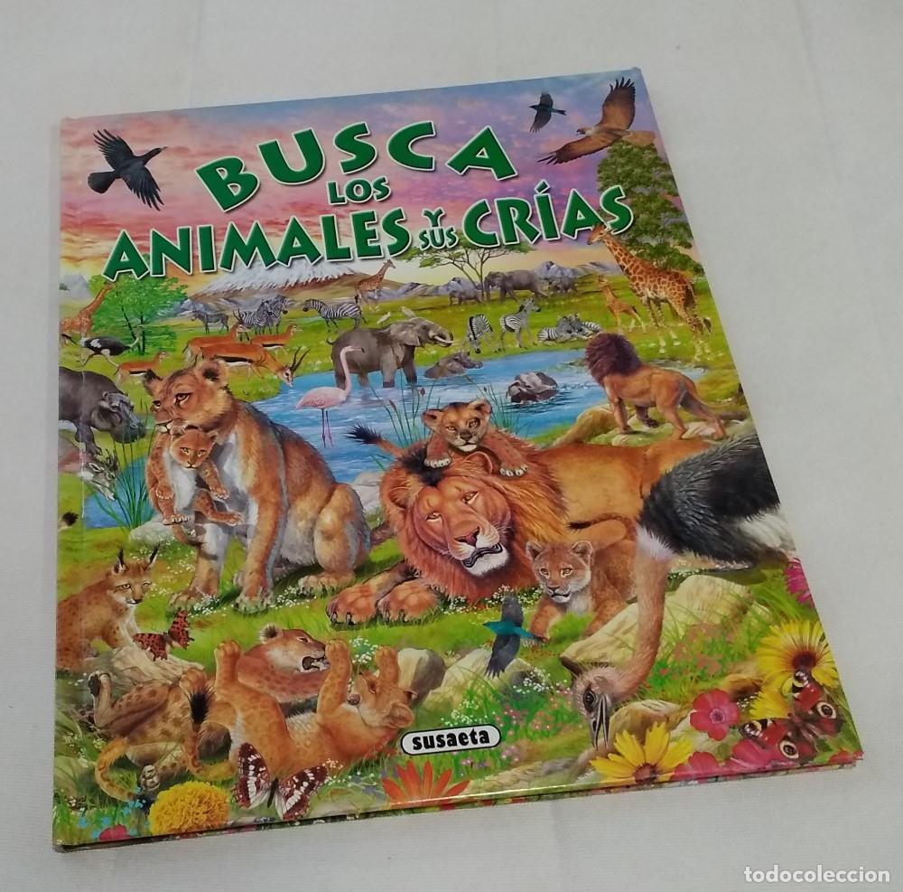 Libros: Busca los animales y sus cr&iacute;as - vvaa - Foto 1