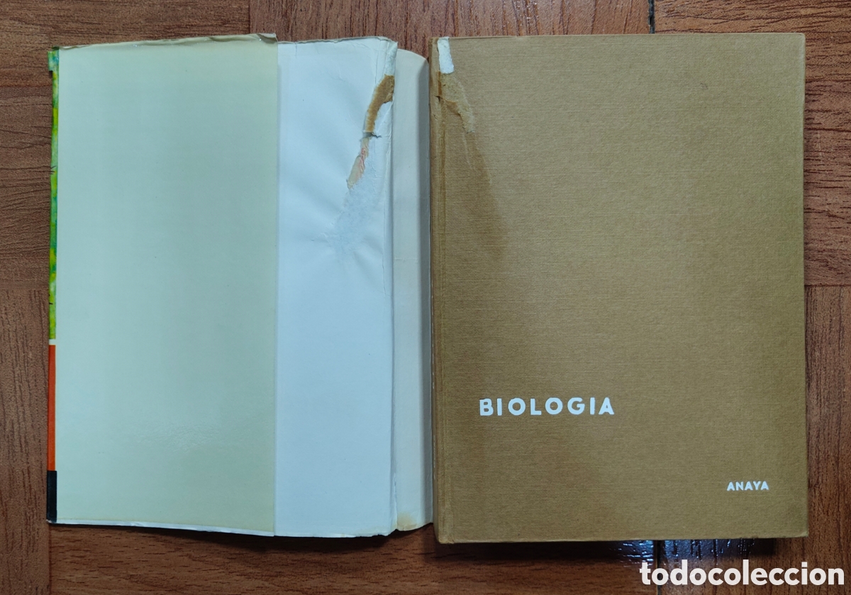 Libros: Biolog&iacute;a � Anaya 1966 - E. Guinea L&oacute;pez - Foto 3