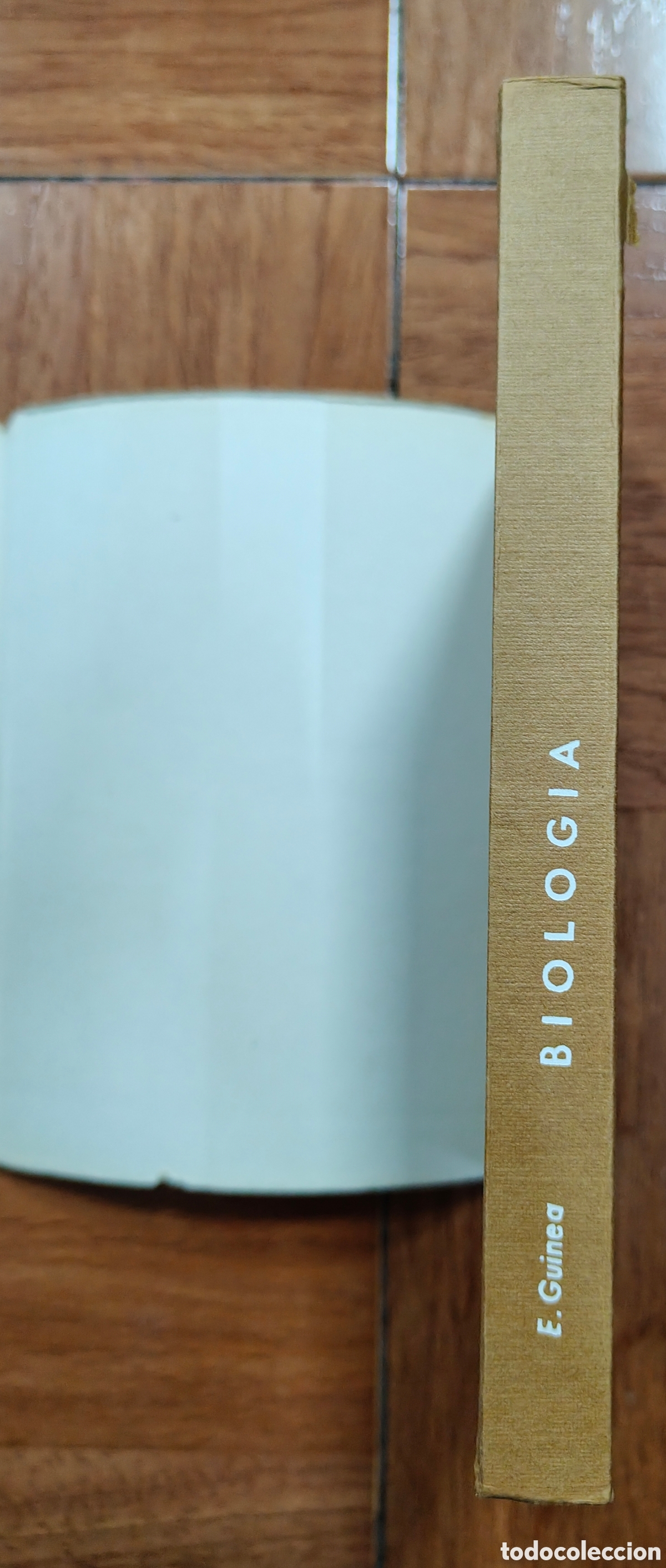 Libros: Biolog&iacute;a � Anaya 1966 - E. Guinea L&oacute;pez - Foto 4