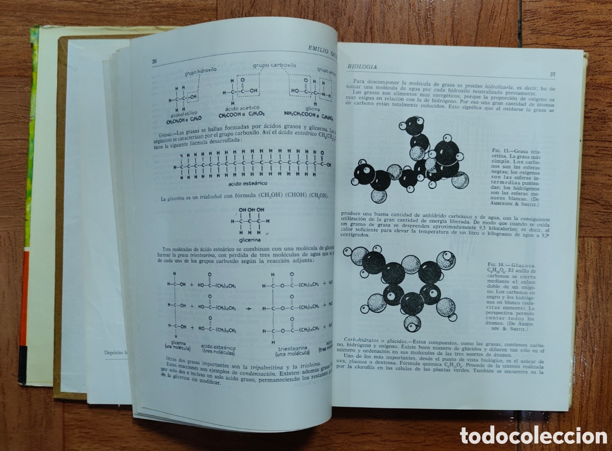 Libros: Biolog&iacute;a � Anaya 1966 - E. Guinea L&oacute;pez - Foto 6