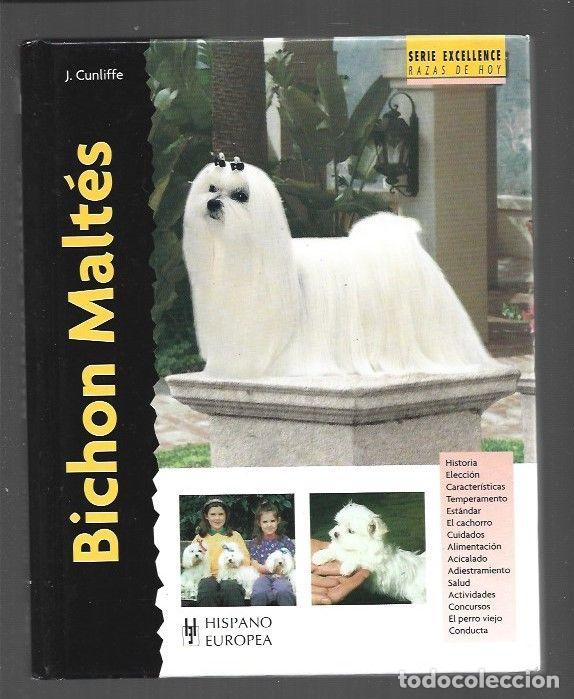 Libros: BICHON MALTES - J. CUNLIFFE - Foto 1