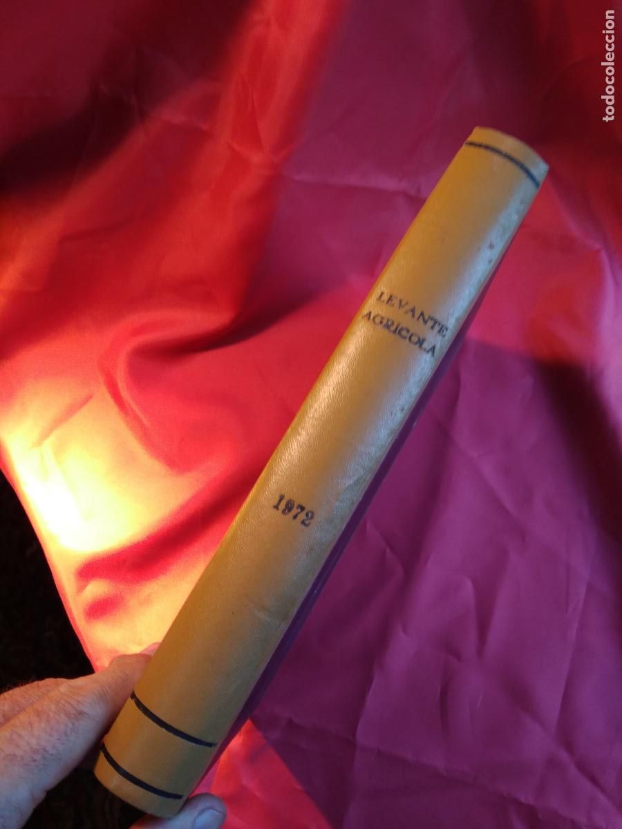 Libros: Levante agricola 1972 Art.1310