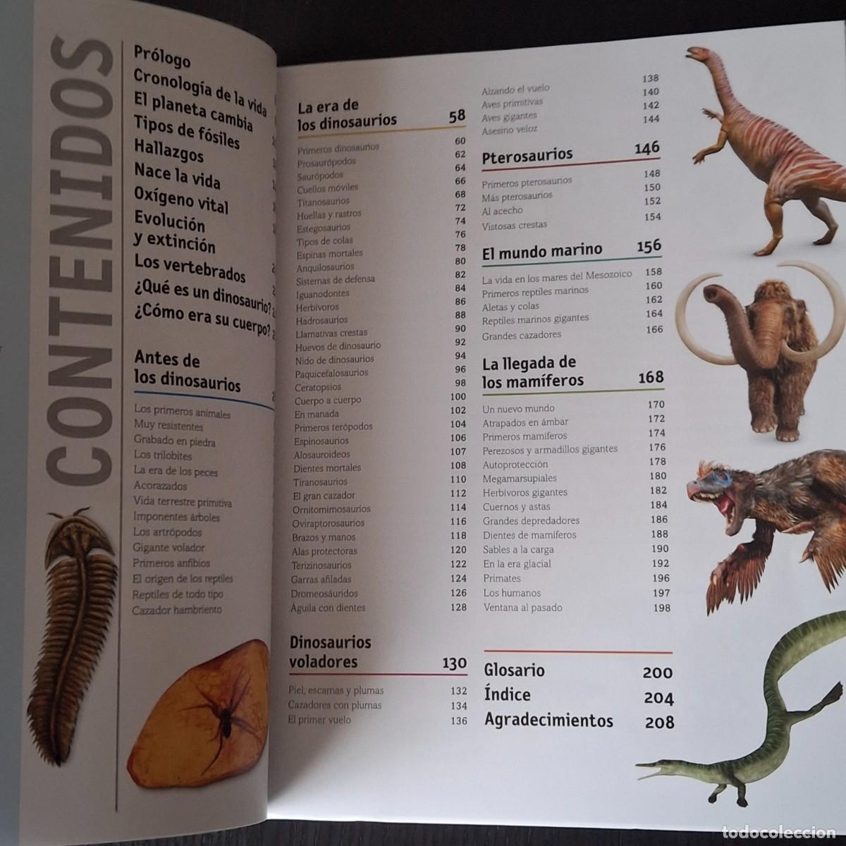 Libros: EL LIBRO DE LOS DINOSAURIOS - DINO DINOS - DK - A&Ntilde;O 2022 - Foto 2