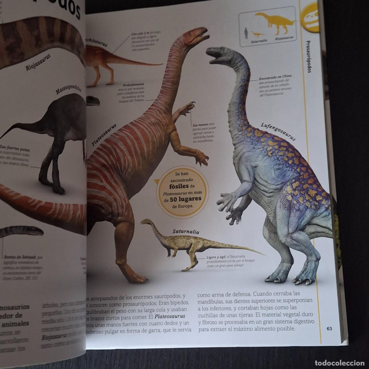 Libros: EL LIBRO DE LOS DINOSAURIOS - DINO DINOS - DK - A&Ntilde;O 2022 - Foto 3