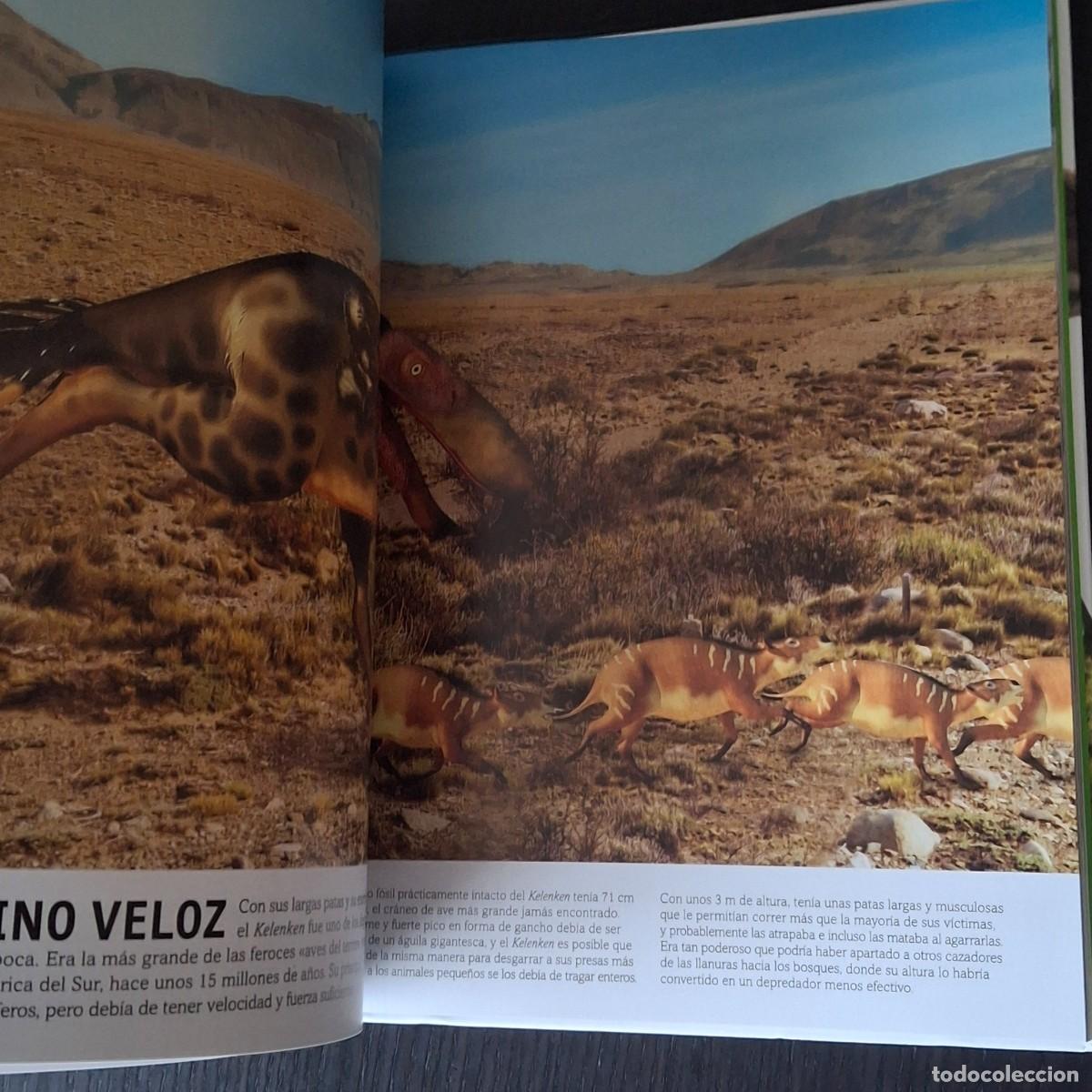 Libros: EL LIBRO DE LOS DINOSAURIOS - DINO DINOS - DK - A&Ntilde;O 2022 - Foto 5