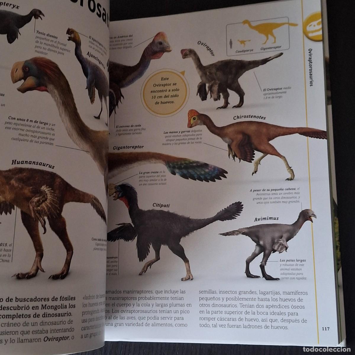 Libros: EL LIBRO DE LOS DINOSAURIOS - DINO DINOS - DK - A&Ntilde;O 2022 - Foto 6